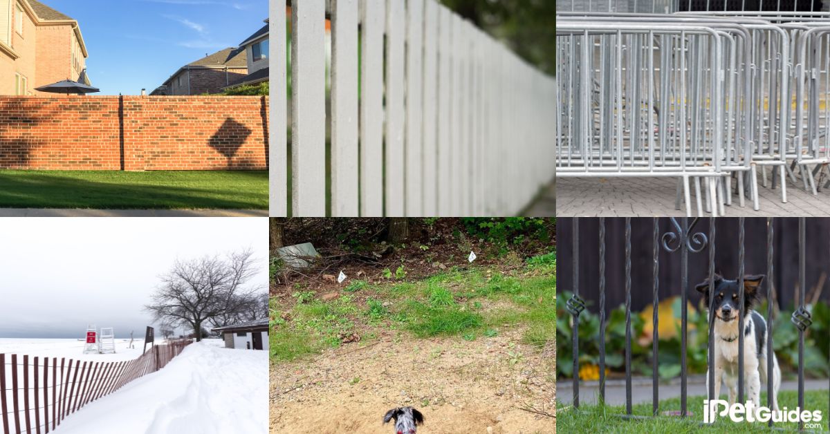 Types of Dog Fences featured image
