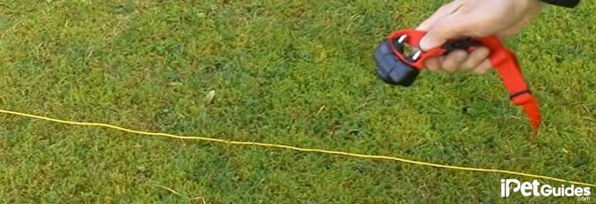 a human holding Wired Dog Fence collar near the fence wire