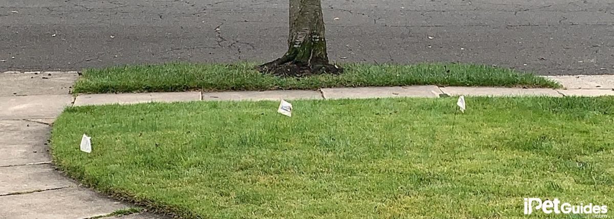 wireless fence boundary flags on the ground