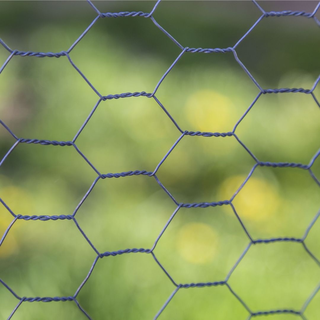 Chicken Fence Wire