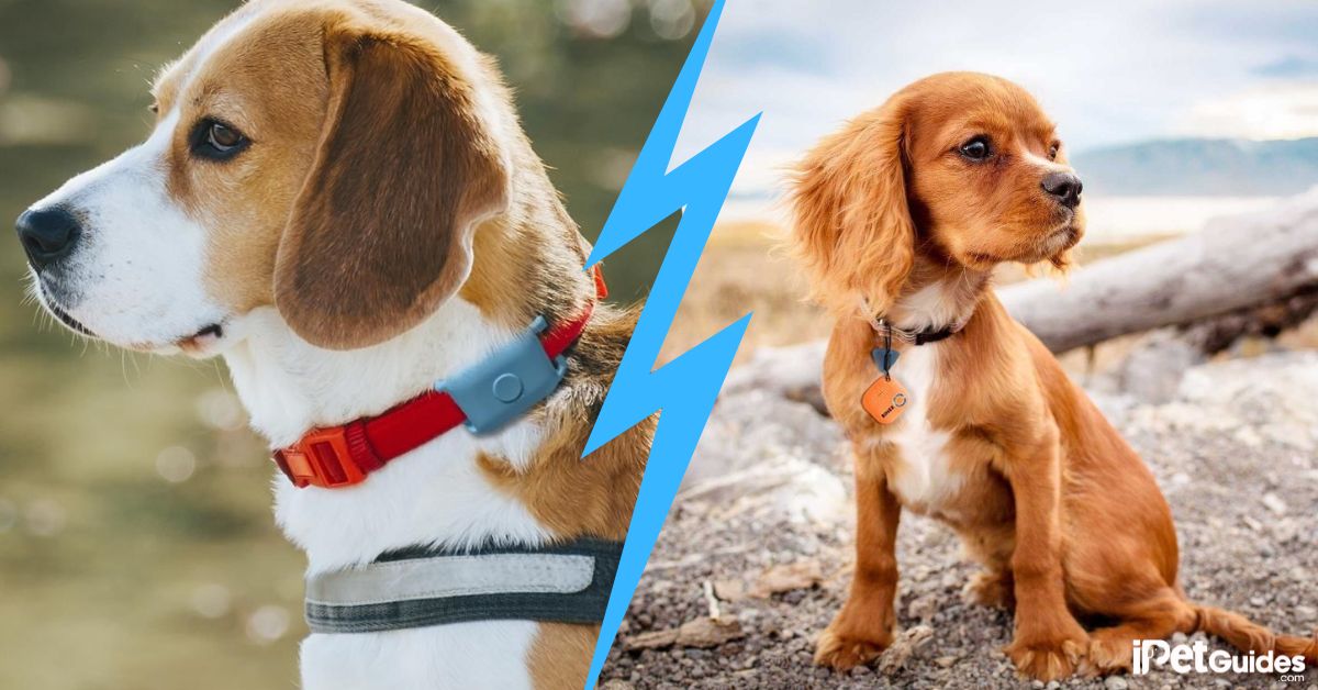 GPS vs Bluetooth Tracker featured image