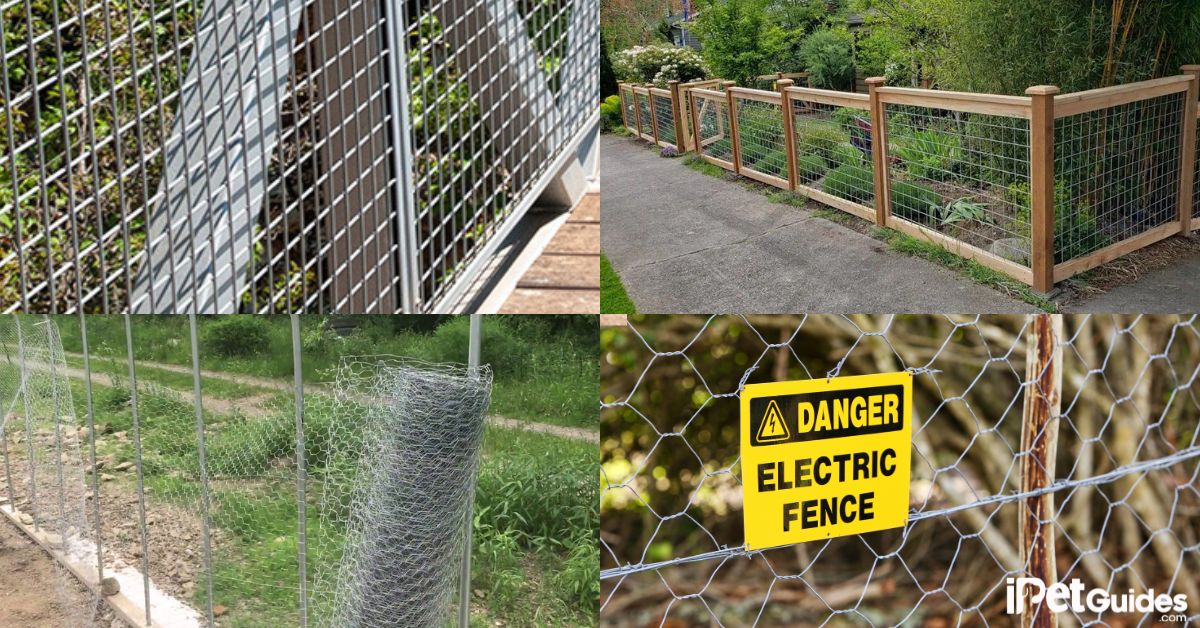 How to Choose the Best Dog Fence Wire featured image