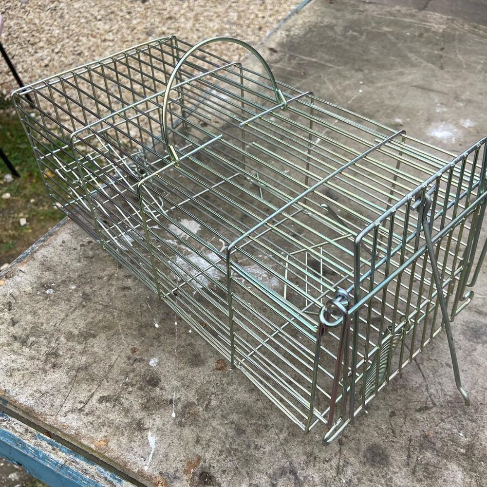 Humane Trap on the floor