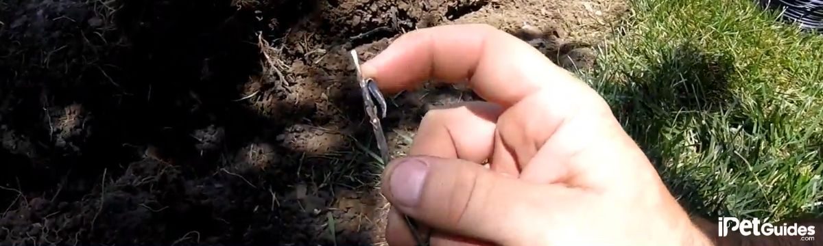 a human holding broken invisible fence wire