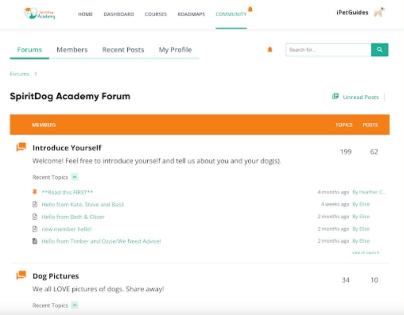 spirit academy community option