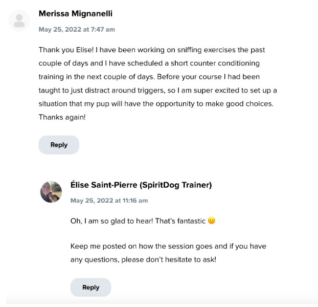 spiritdog training customer testimonial 3