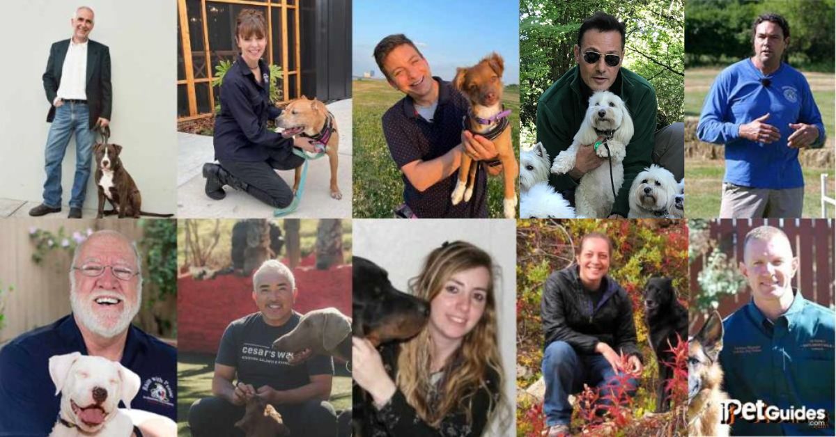Best Dog Trainers in the World Featured Image