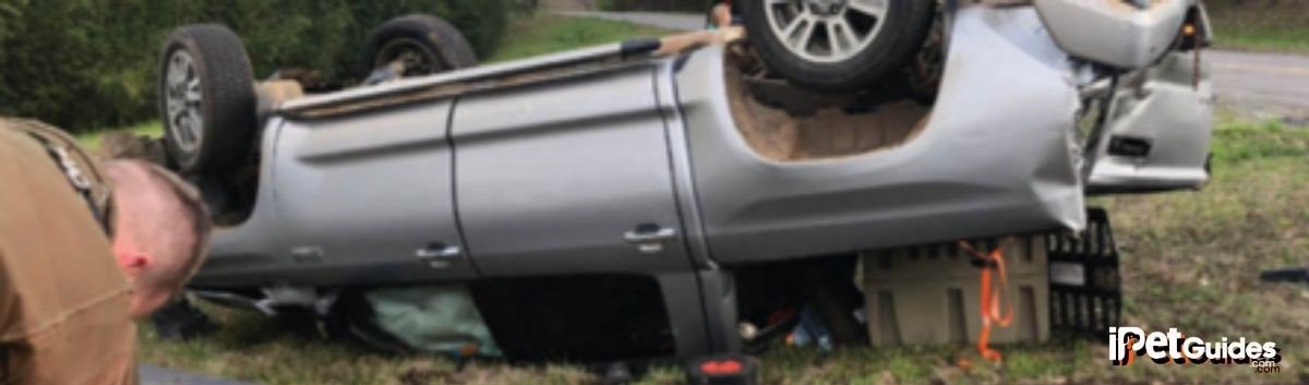 2 dogs inside 2 Gunner G1 Kennels