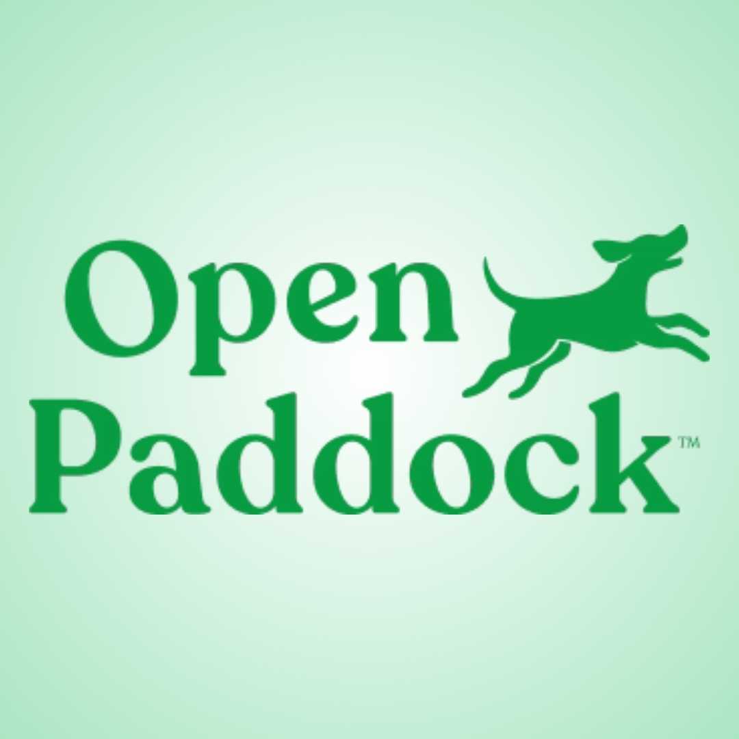 open paddock logo