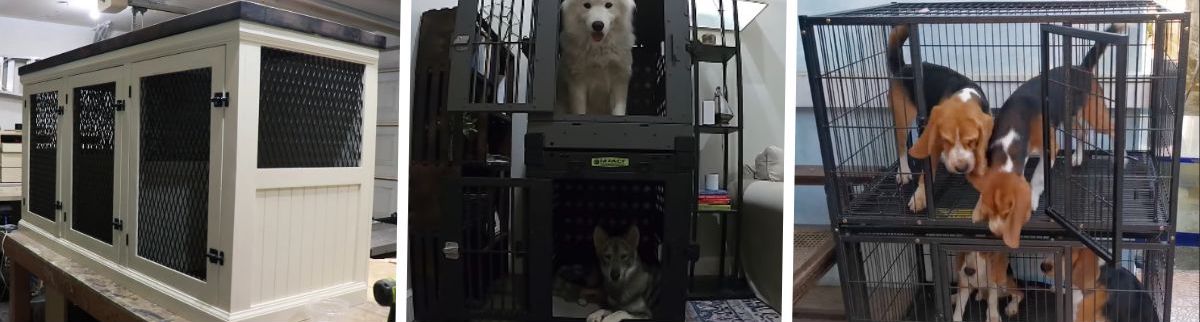 Four pictures of a dog in a cage.