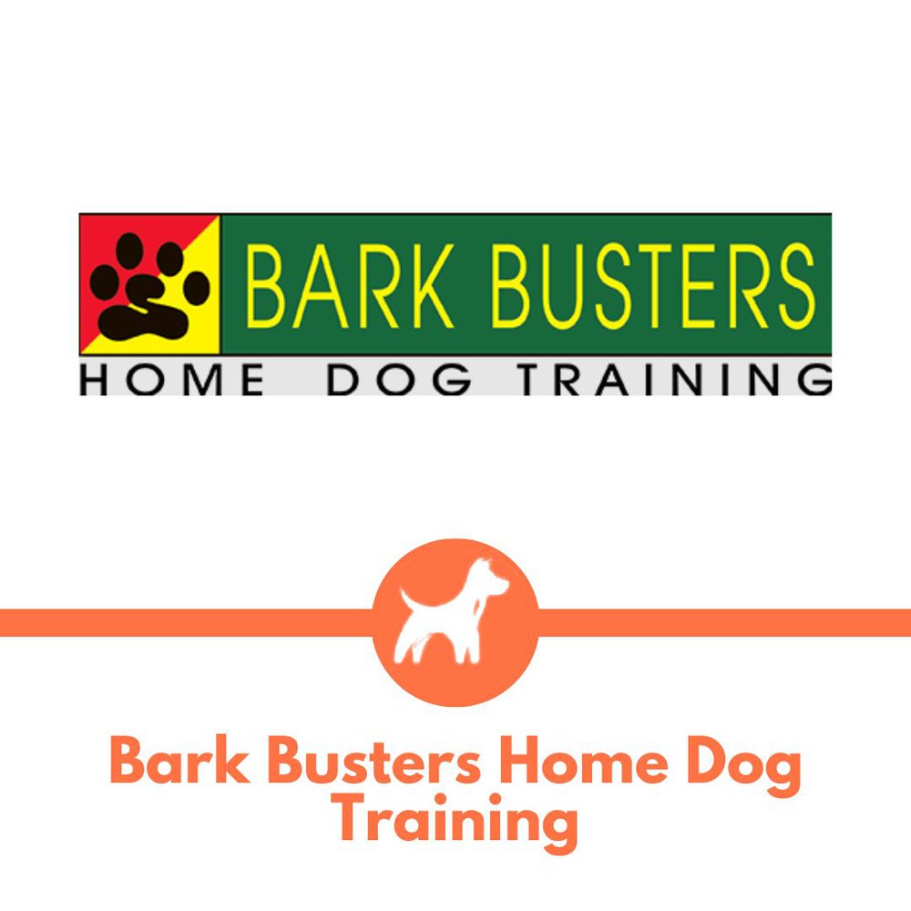Bark busters home dog training