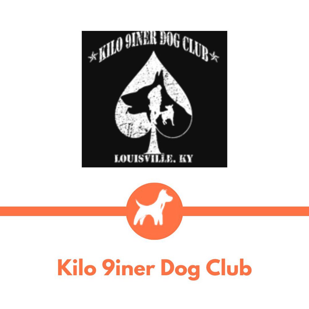 Kilo 9 sinner dog club dog training