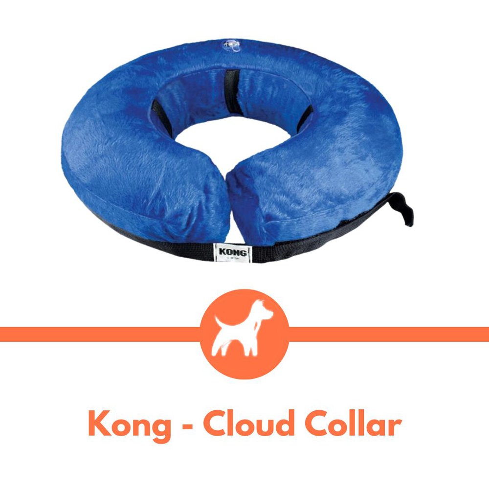 Kong cloud collar