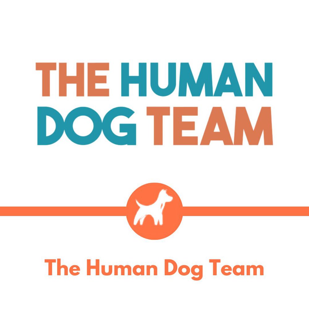 The human dog team