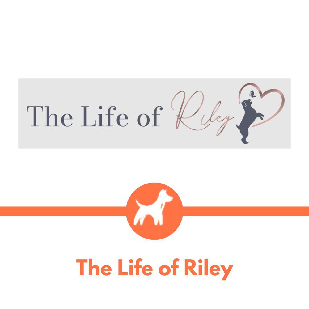 The Life of Riley Dog Training 
