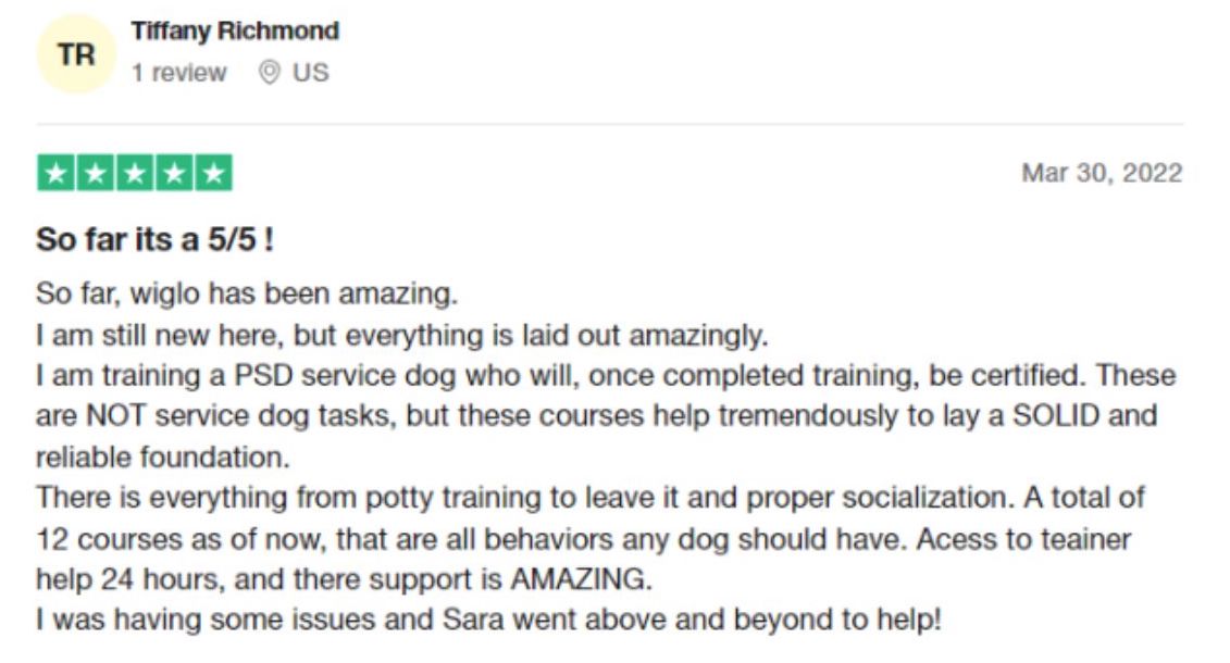 A screenshot of a customer review for a dog training company 2