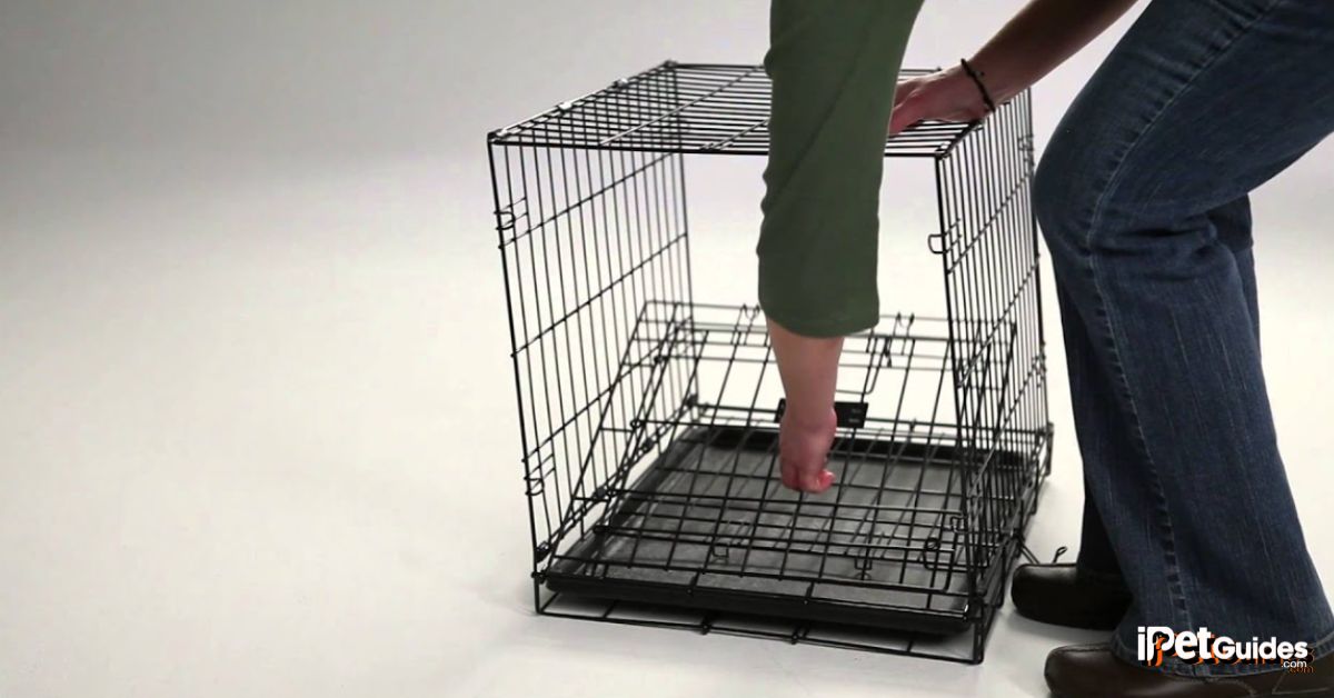 how to collapse a dog crate featured image