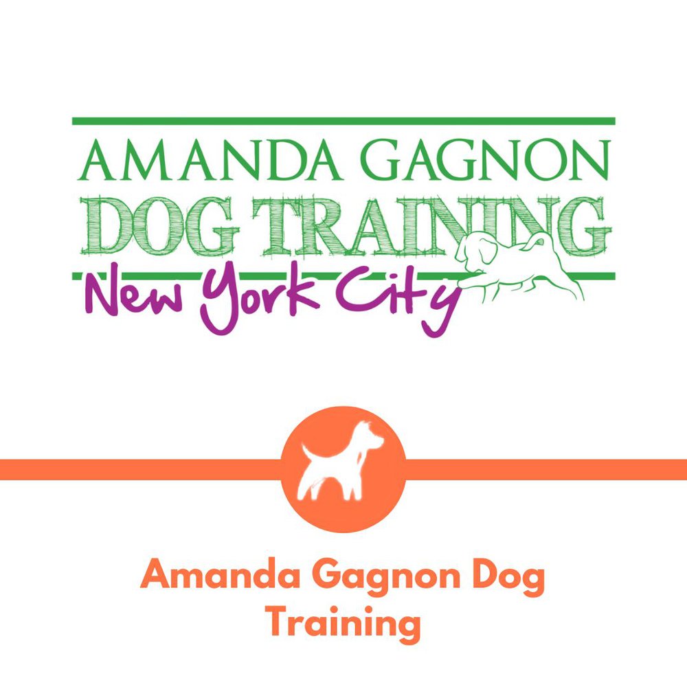 Amanda Gagnon Dog Training
