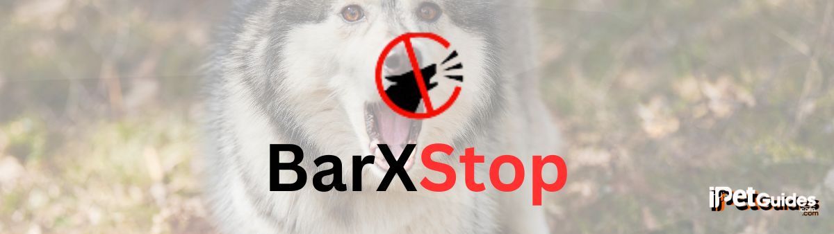 BarXStop Logo 