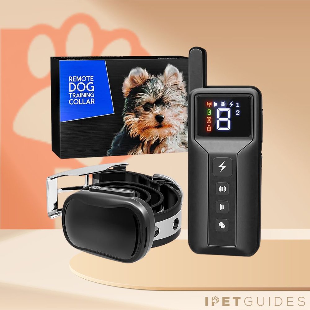 Enrivik Small Size Dog Training Collar