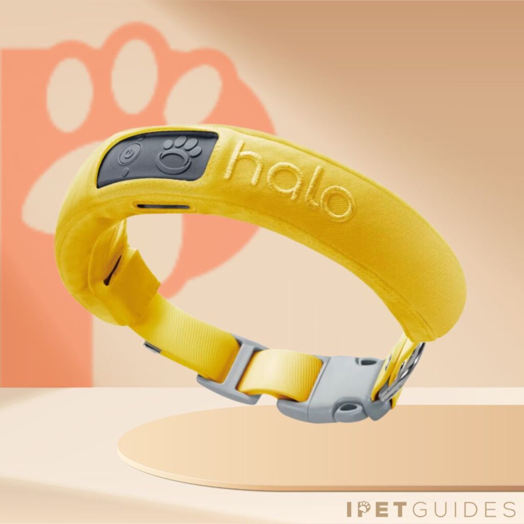 Halo 2 Collar Product Image