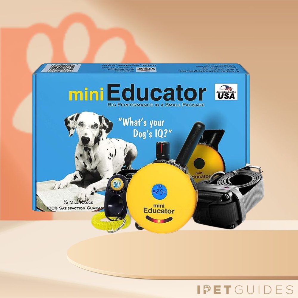 Mini Educator Remote Training Collar