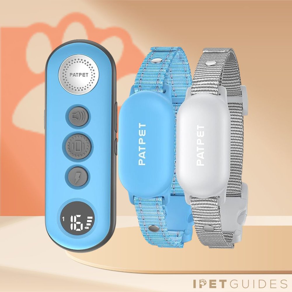 PATPET Small Size Dog Training Collar