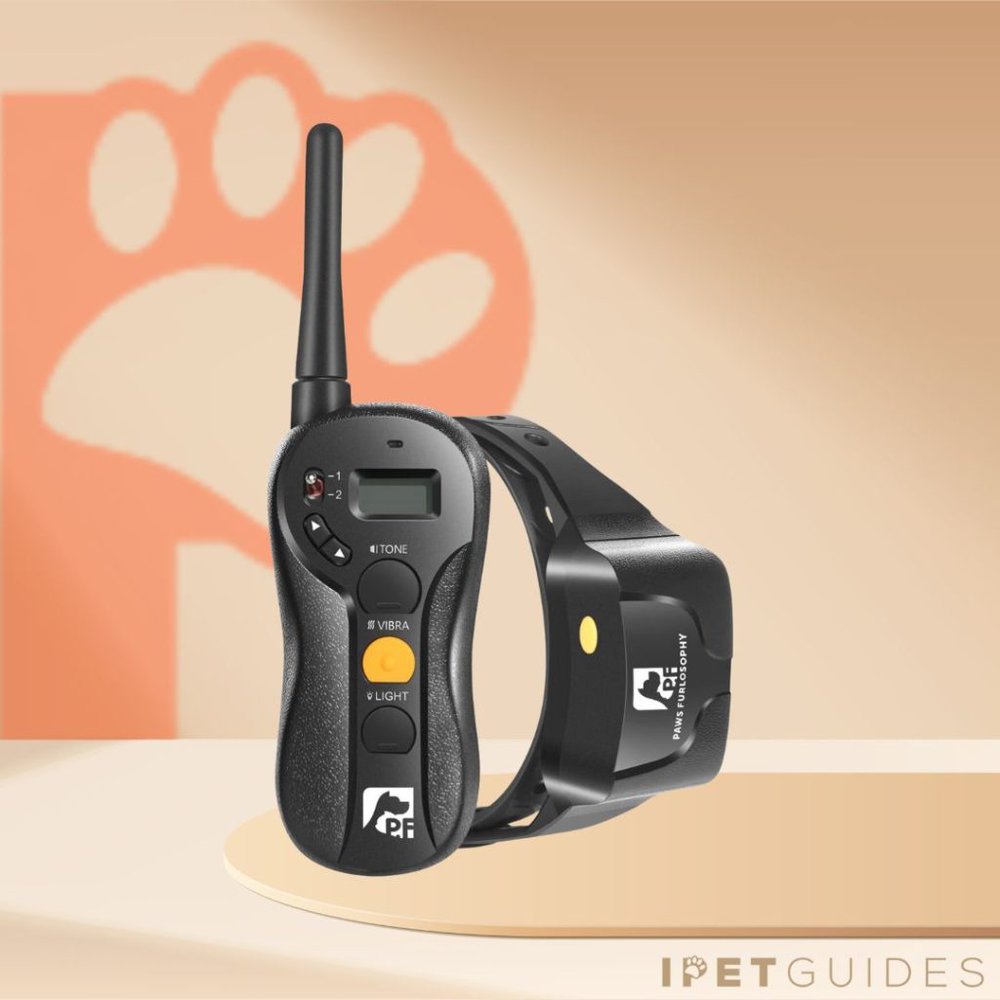 Paws Furlosophy No Shock Dog Collar