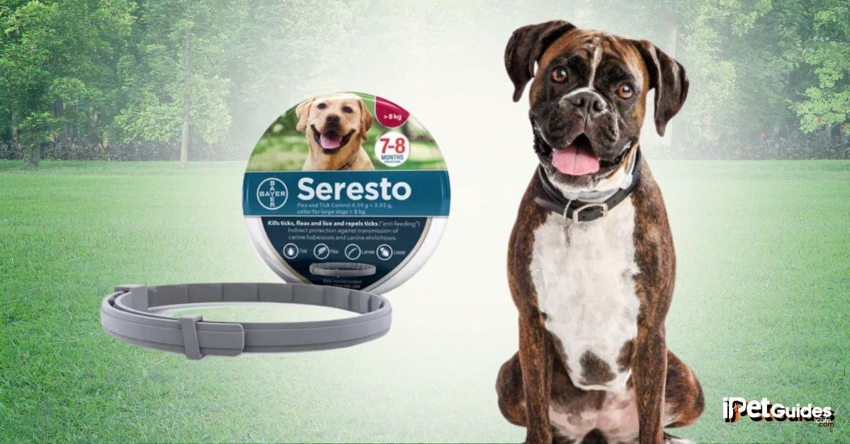 Seresto Dog Collar Review featured image