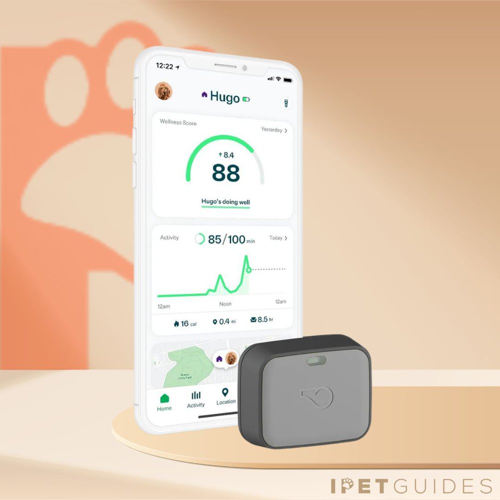 Whistle Ultimate Dog GPS Tracker