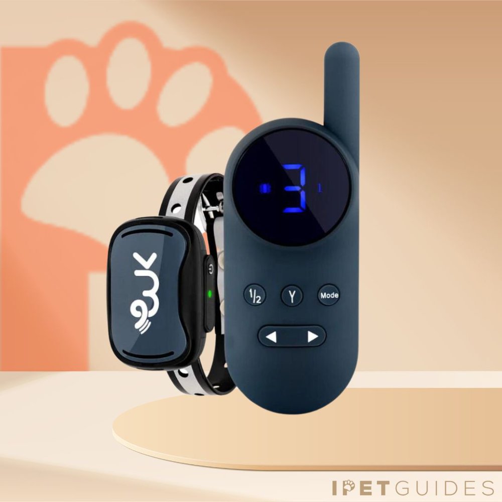 Wiggle Kingdom Training Collar