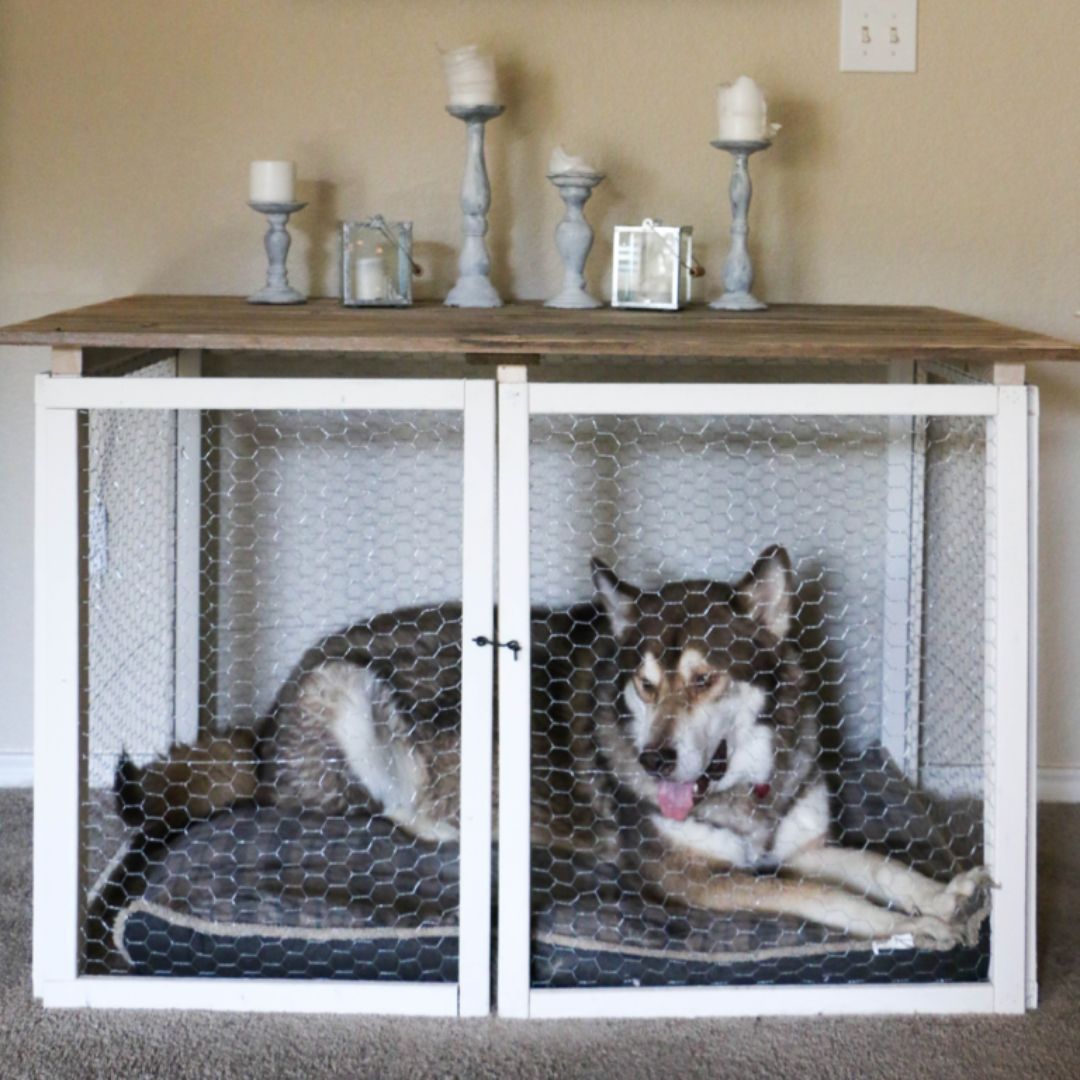 a dog laying inside the DIY Grid dog crate