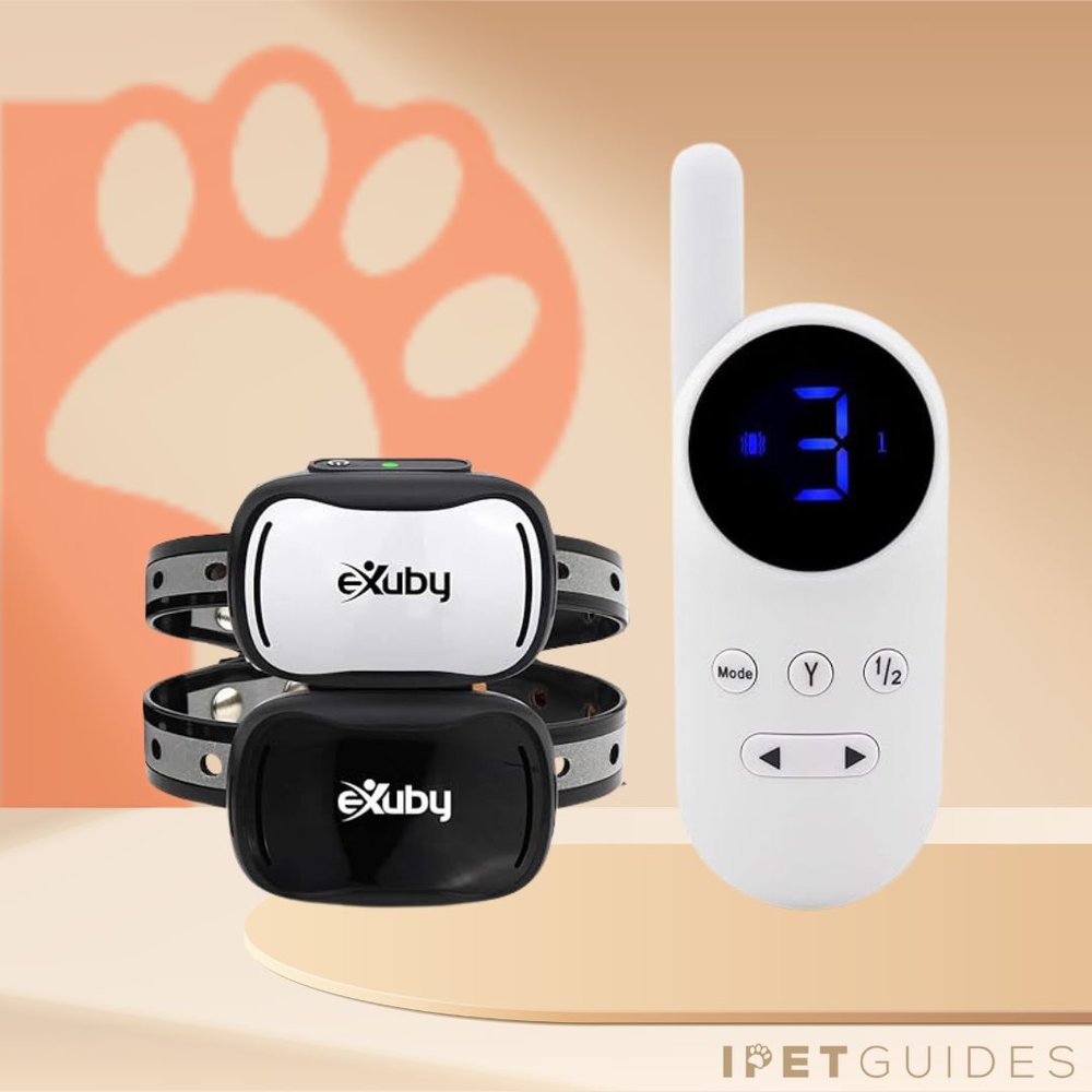 eXuby Tiny Dual Shock Collar