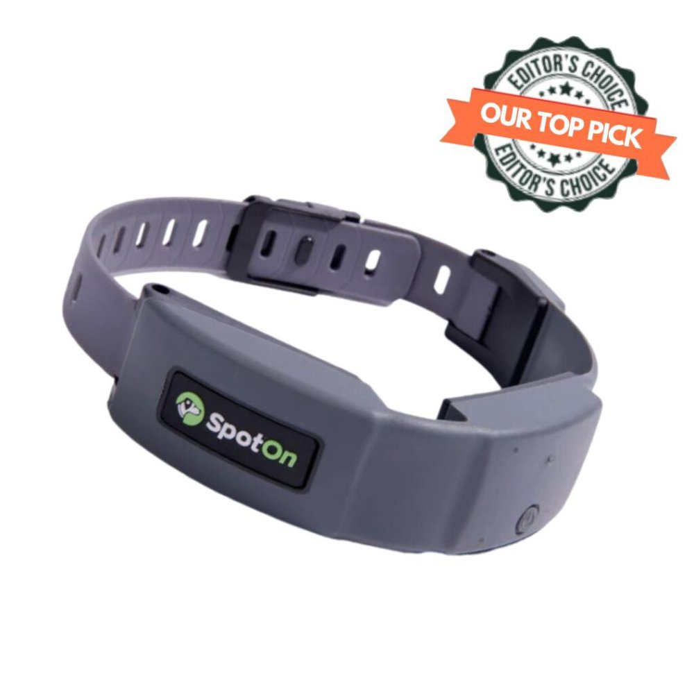 spot on dog collar product image