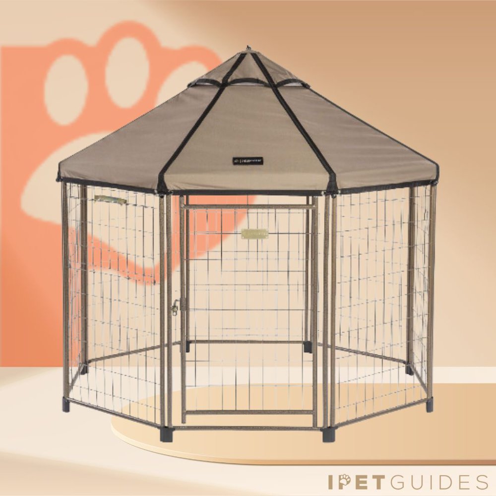 Advantek Dog Gazebo Kennel