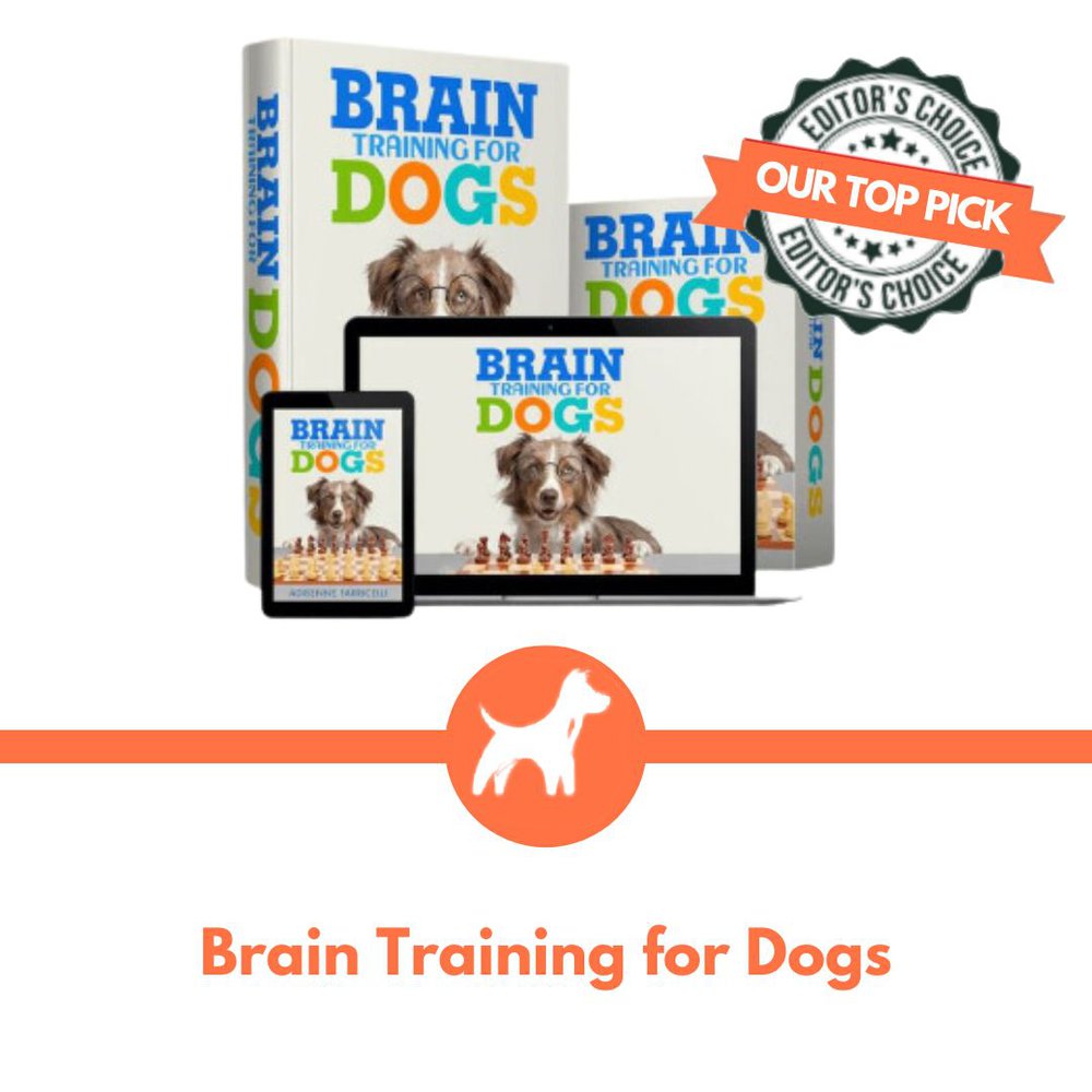 Brain Training for Dogs Program