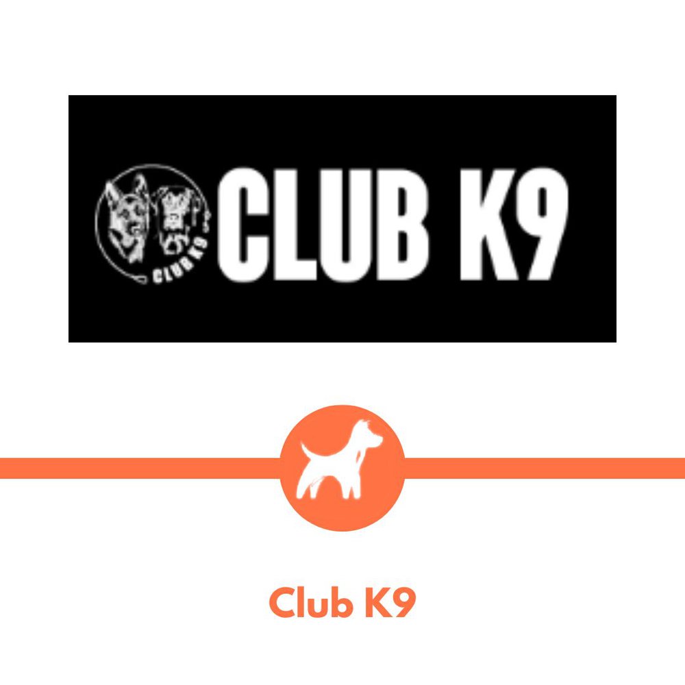 Club K9 Dog Training Program