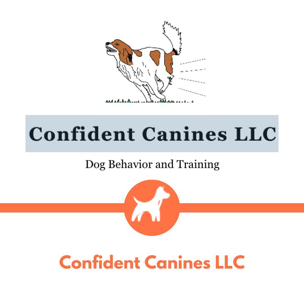 Confident Canines LLC Dog Training Program