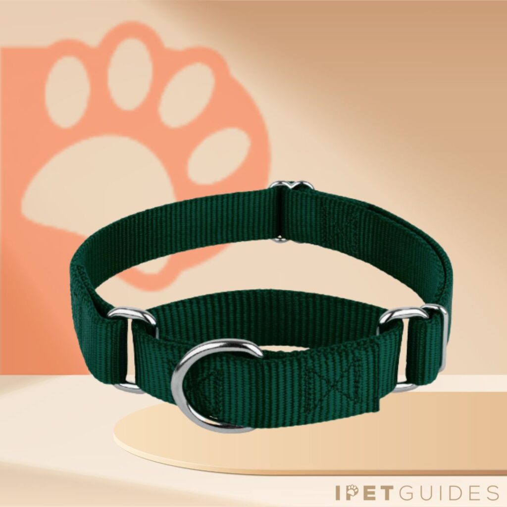 Country Brook Petz Martingale Heavy Duty Nylon Dog Collar