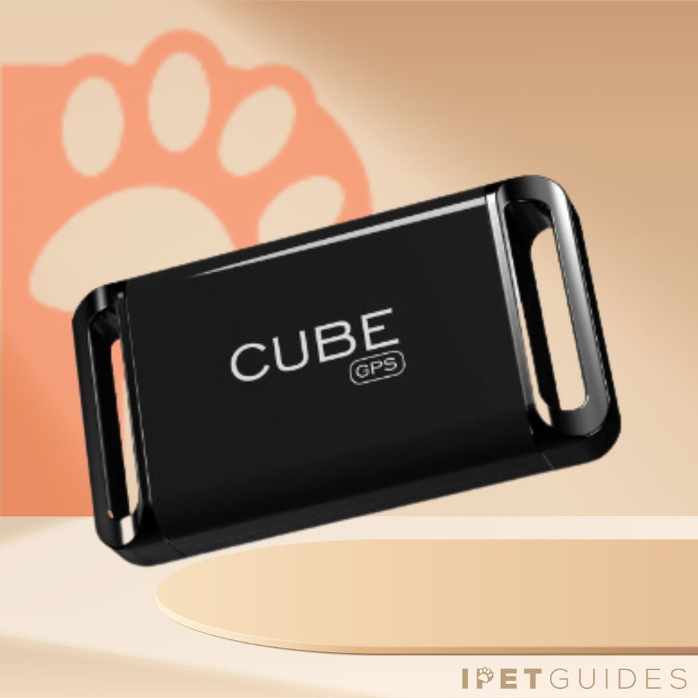 Cube GPS Tracker