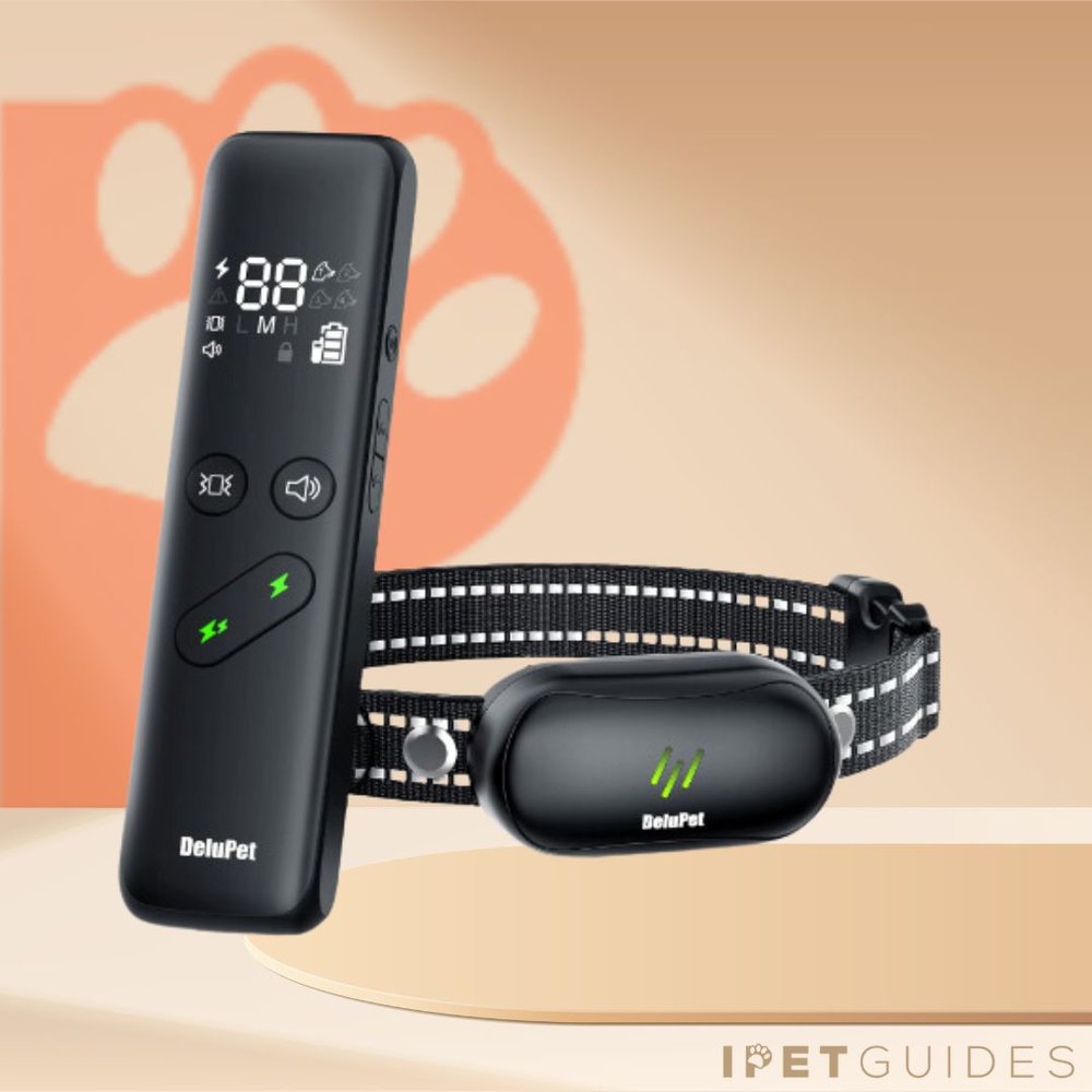 Delupet Dog Shock Collar