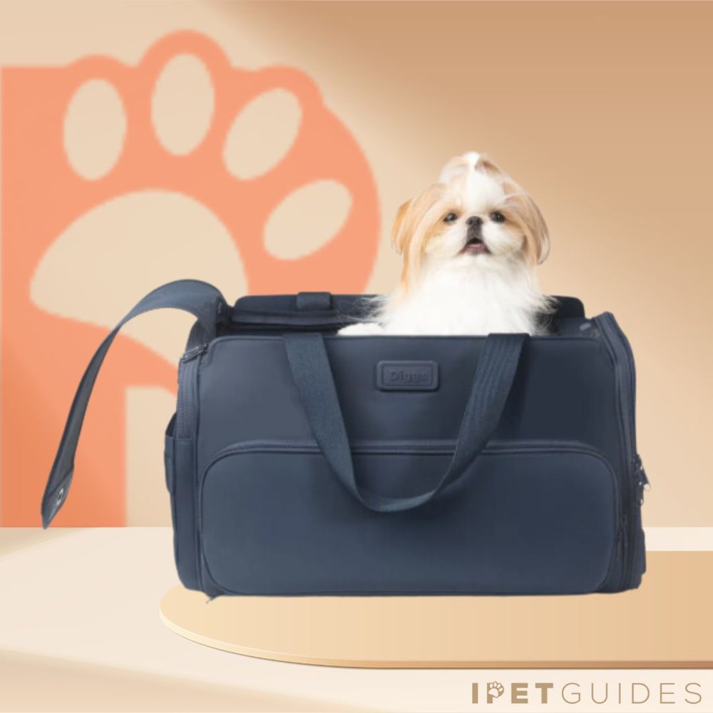 Diggs Passenger Travel Carrier