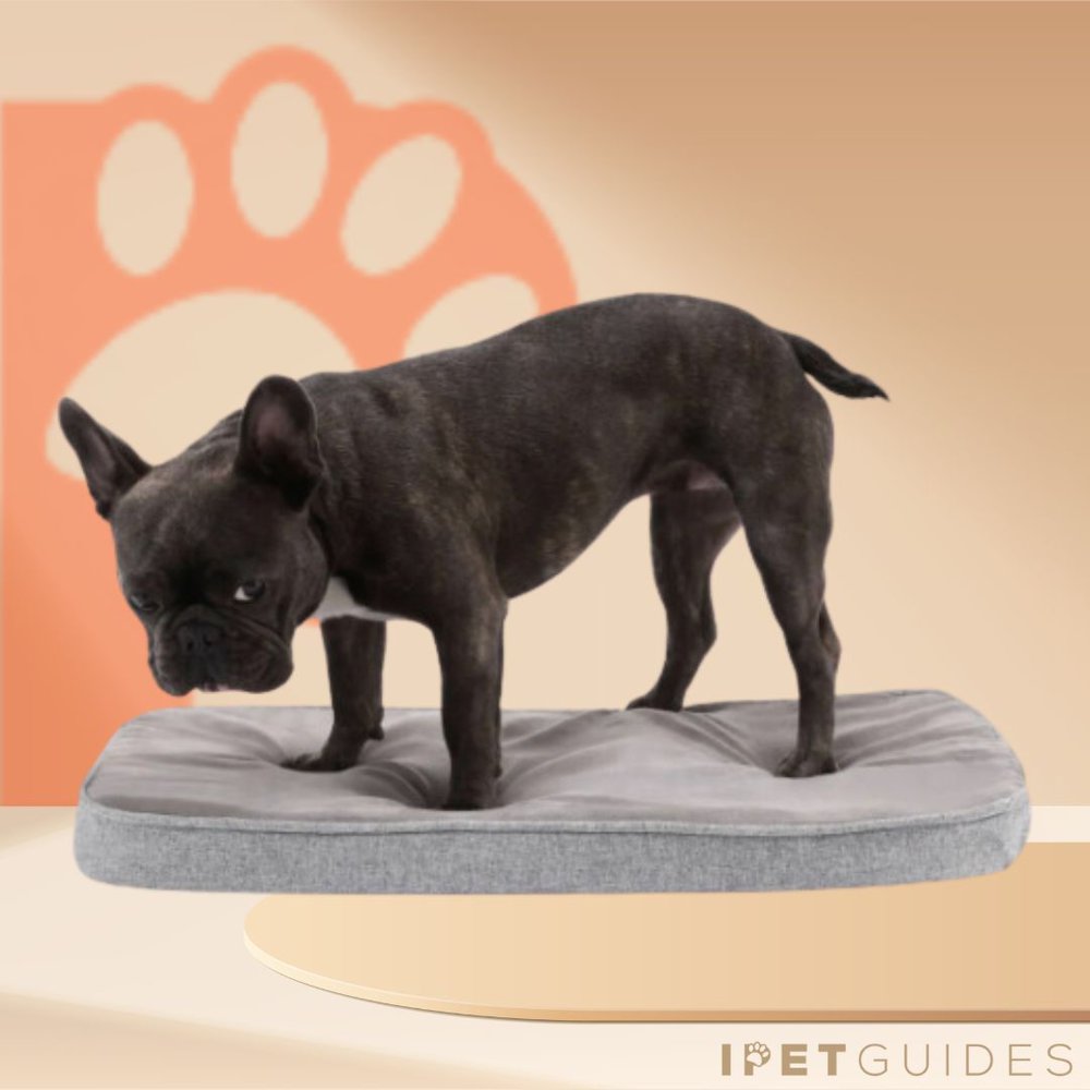 Diggs Snooz Crate Pad