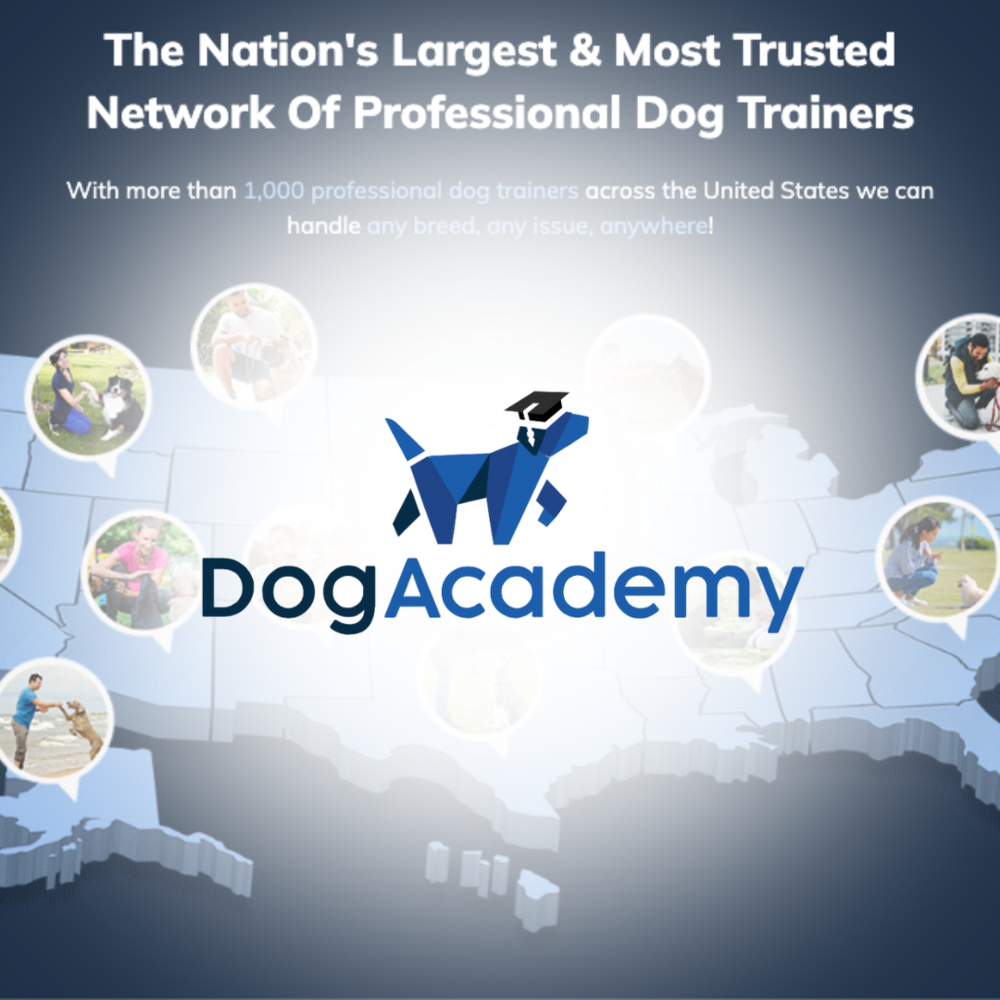 Dog Academy Poster