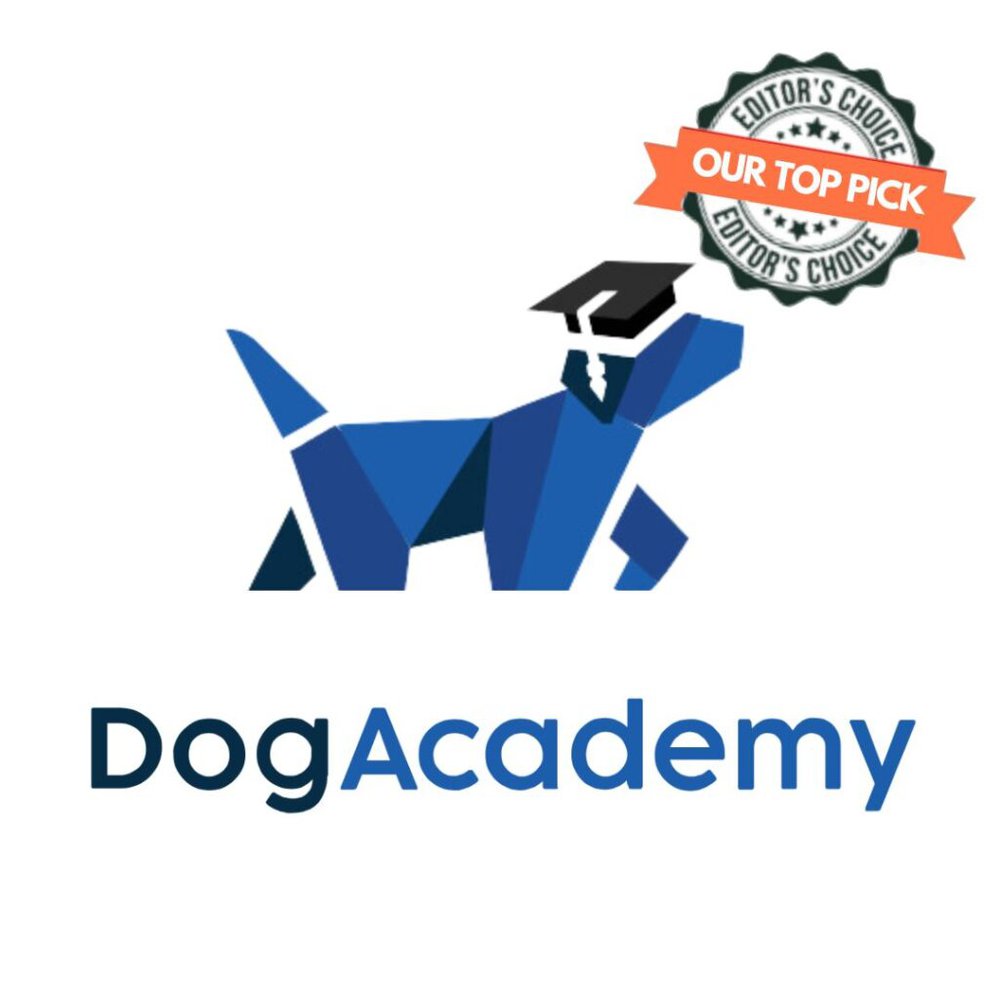 Dog Academy Program Image