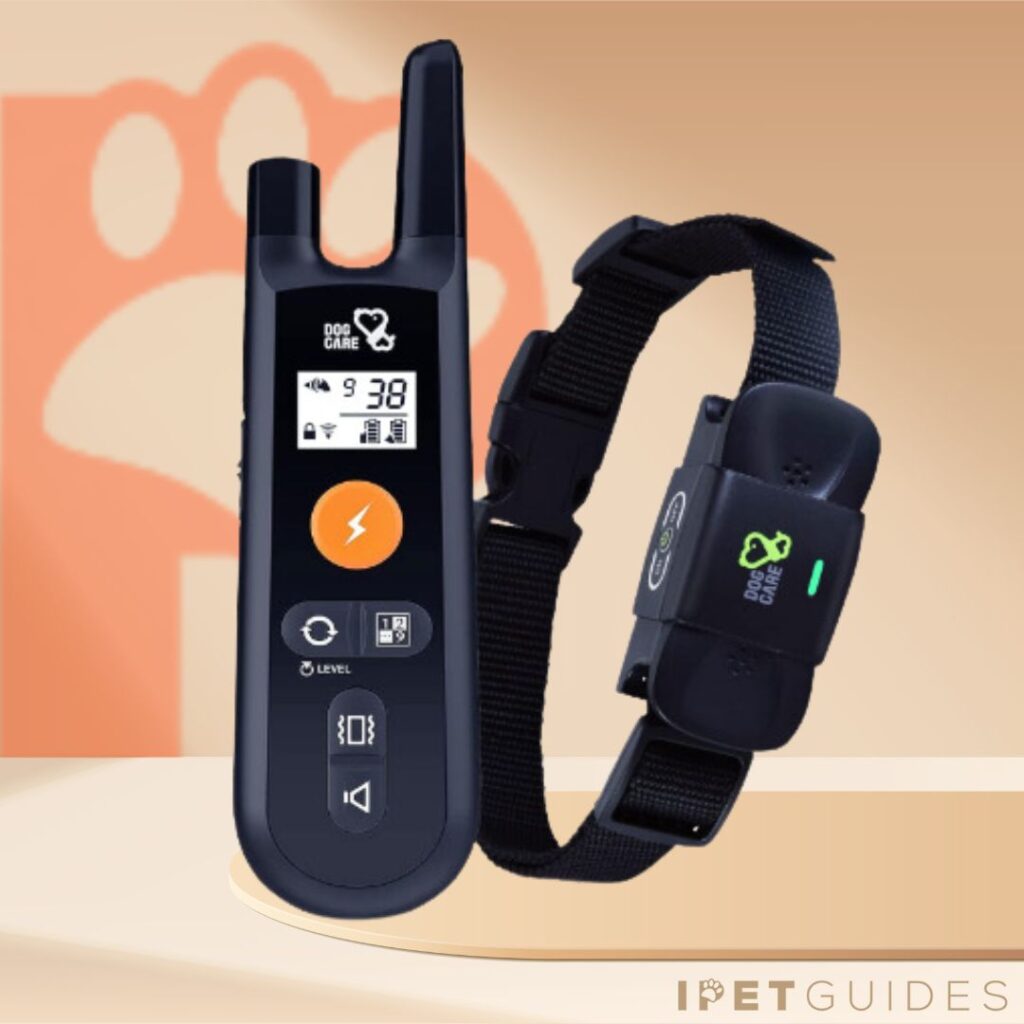 Dog Care Dog Shock Collar