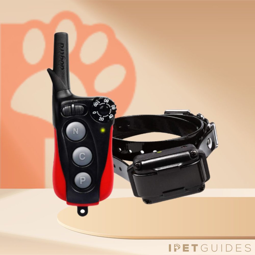 Dogtra IQ Plus Rechargeable Training Collar