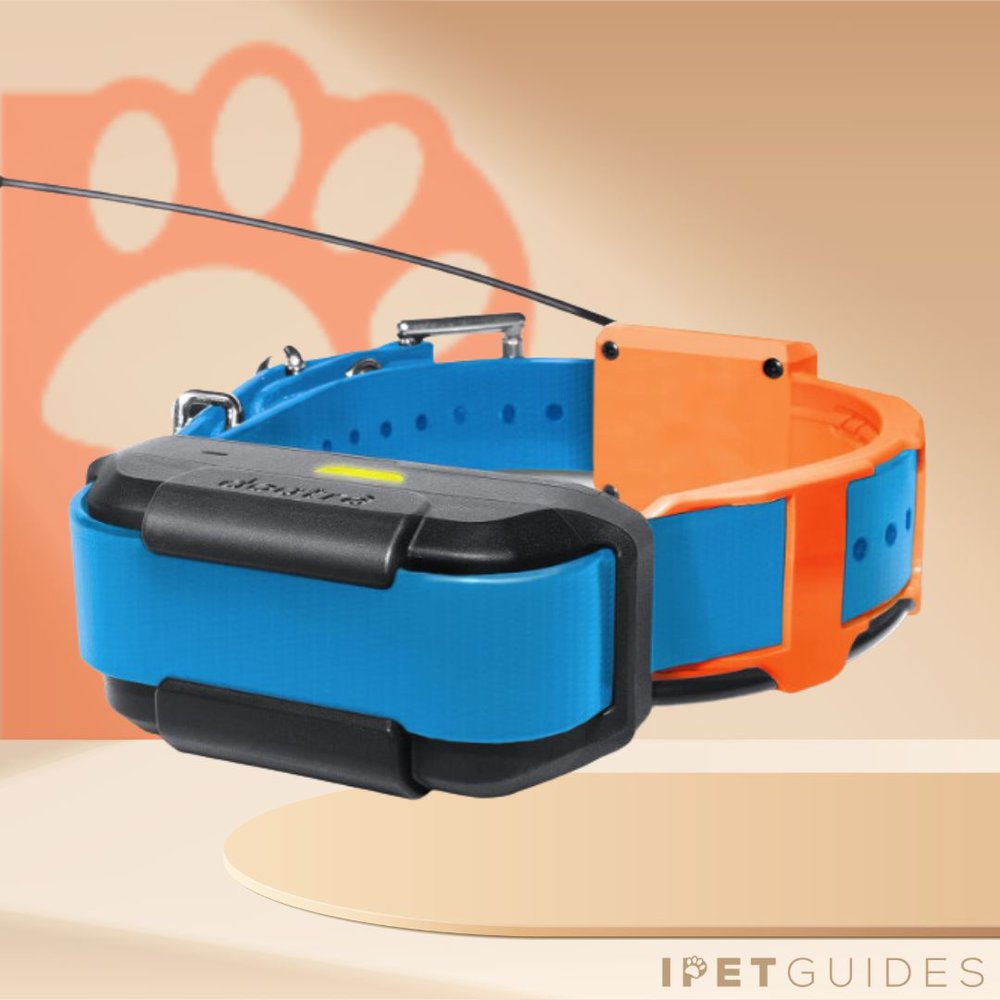 Dogtra Pathfinder TRX Product Image