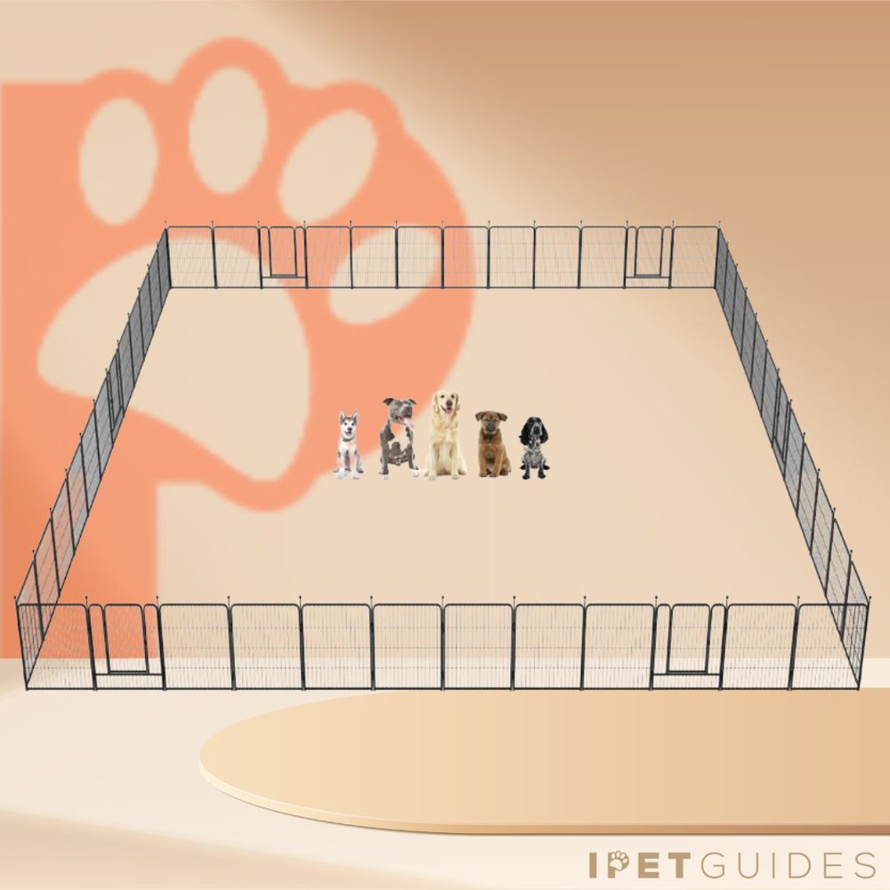 FXW Portable Dog Fence