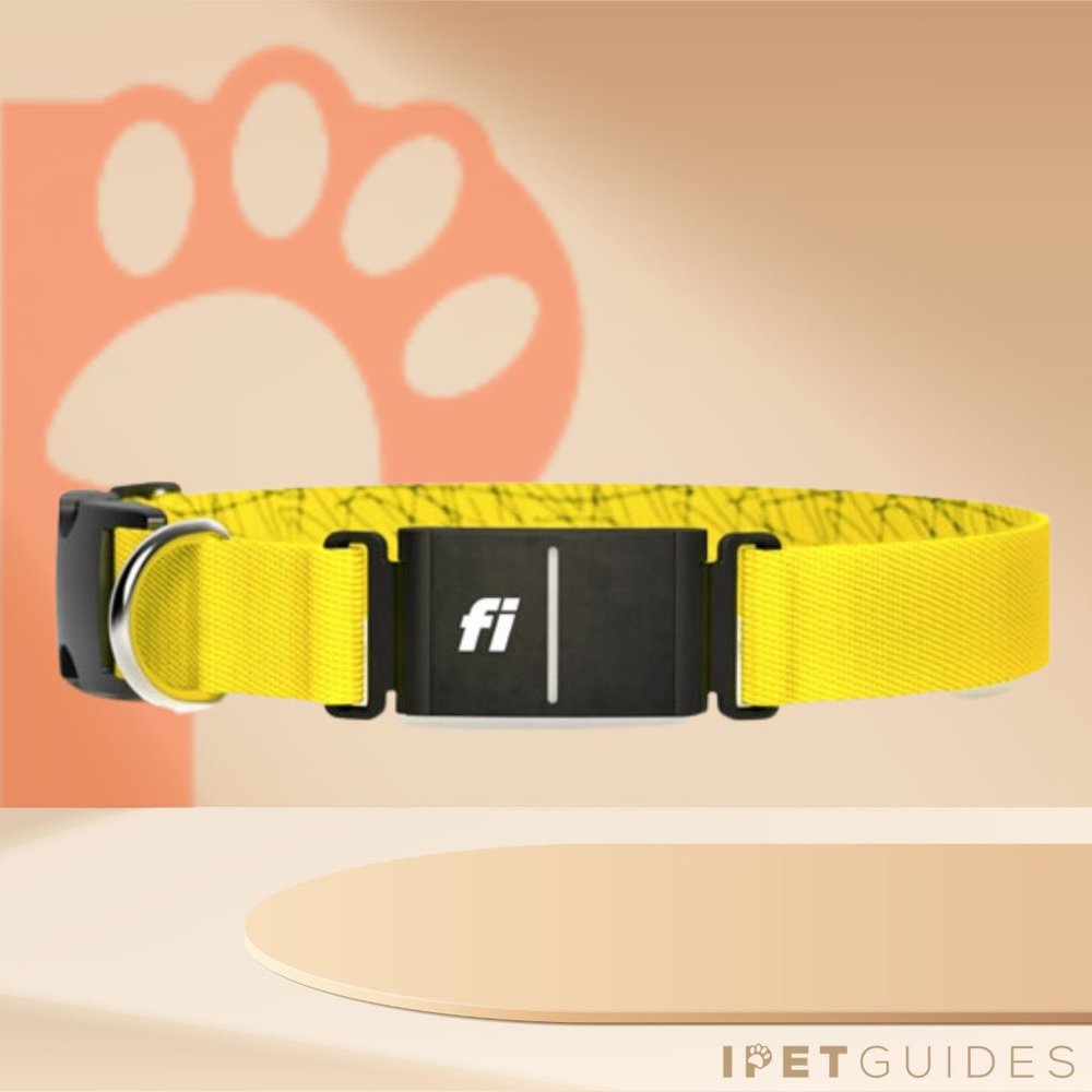 Fi Series 2 Collar Product Image